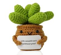 NQEUEPN Plante en Pot Tricotée, Créatives Mini Mignonnes Émotionnelles Plantes Succulentes Positives Ornements de Poupée Cadeaux, pour Adultes Enfants Amis Maison Bureau Décoration