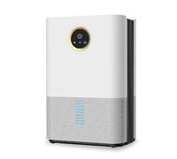 NQYZZFD Déshumidificateur À Semi-conducteur De 2500ML pour La Maison, Sécheur d'air Professionnel avec Absorbeurs D'humidité, Dégivrage Automatique, Arrêt Et Minuterie Automatiques,White