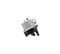 NRF 310067 Radiateur d'huile de boite de vitesse automatique