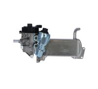 NRF 48201 Module-EGR
