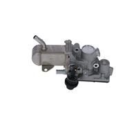 NRF 48207 Module-EGR