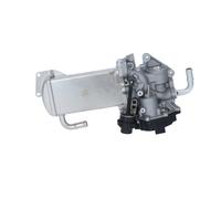 NRF 48209 Module-EGR