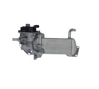 NRF 48210 Module-EGR