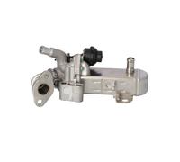 NRF 48212 Module-EGR
