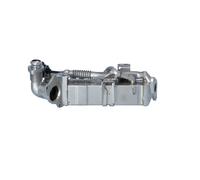 NRF 48456 Module-EGR