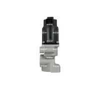 Vanne EGR NRF 48675
