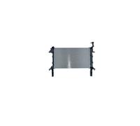 Radiateur d'eau Grille de radiateur soudée 560025 NRF