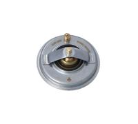 Thermostat sans boîtier 725210 NRF pour VW NEW BEETLE Décapotable JETTA IV