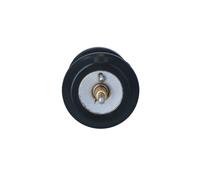 NRF 725250 Thermostat d'eau