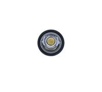 NRF 725323 Thermostat d'eau