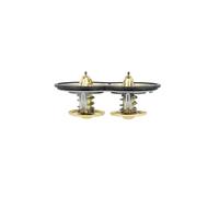 NRF 725374 Thermostat d'eau