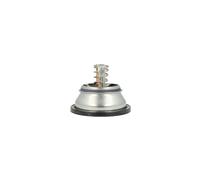 NRF 725394 Thermostat d'eau