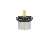 NRF 725480 Thermostat d'eau