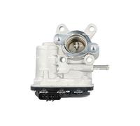 Vanne EGR NRF 48660
