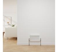 NRG Radiateur traditionnel en fonte blanc brillant 2 colonnes chauffage central Radiateurs de salle de bain Radiateurs 300 x 425 mm