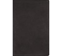 NRSVue, Single-Column Reference Bible, Genuine Calfskin Leather, Black, Art Gilded Edges, Comfort Print
