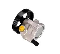 NRVFGHSRvz Pompe de direction assistée B200113599 49110-5514R compatible avec Renault Kangool Clio Logan Aprio for Nissan Platina for Lada Largus K4M 2012 1.6L