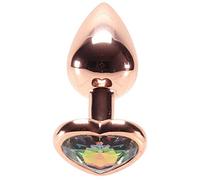 NS Novelties Rear Assets Multicolore Heart Plug Anal
