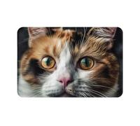 NSDdefAWCGT Paillasson de bienvenue anti-saleté pour extérieur et intérieur, motif chats ont de grands yeux, tapis d'entrée antidérapant pour porte arrière, terrasse, porche, 40,6 x 61 cm