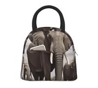 NSDdefAWCGT Sac à déjeuner isotherme pour homme et femme - Portable - Anti-fuite - Éléphant d'Afrique - Boîte à déjeuner pour pique-nique