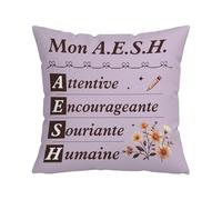 Nsetriu Housse de Coussin 45x45 Cadeau AESH, Double Face Imprimée, Idée Originale pour AESH Remerciement Fin d'Année Scolaire Cadeaux pour la Rentrée