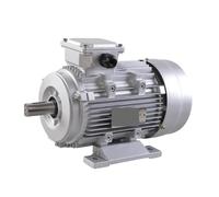 NSZVYJFBQ Moteur asynchrone Horizontal TC7112 Moteur monophasé boîtier en Aluminium moulé 220v 50hz 0,37kw 2800pm B3