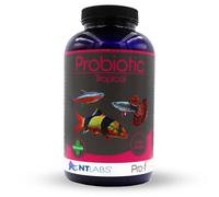 NT Labs Pro-f Nourriture probiotique pour poissons tropicaux pour poissons d'eau douce (contient des cultures probiotiques viables) granulés pour aquariums tropicaux, soutient le système immunitaire