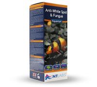 NT Labs Traitement anti-taches blanches et champignons pour aquarium, guérit les maladies des points blancs, traite les champignons des poissons, médicament d'aquarium d'eau douce (250 ml, traite 1250