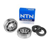 NTN Kit Roulement 6303 C3 et Joint Adaptateur AM6 Type Origine, Set de 2