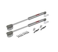 NTP Charniere Amortisseur Vérin a Gaz 2x 100N