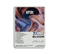 NTRECS Rufus Du Sol Poster de couverture d'album Bloom - Poster rétro en métal - Art chic - Peinture en fer - Pour bar, personnes, grotte, café, famille, garage - Décoration murale - 30 x 40 cm