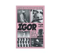 NTRECS Tyler Poster The Creator - Poster sur toile - Décoration pour chambre à coucher, bureau, chambre - Cadeau - Sans cadre - 20 x 30 cm