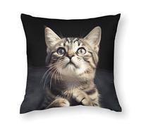 NTVOWPZO Housse de coussin pour grand lit, taies d'oreiller décoratives douces en forme de chat, taies d'oreiller décoratives pour canapé, décoration d'intérieur, 45,7 x 45,7 cm
