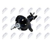 Amortisseur Avant Pour HONDA CR-V (RD_) 05-07 Droit