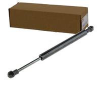 NTY AE-BM-063 Vérin étagère (coffre)