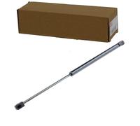 NTY AE-FR-031 Vérin vitre arrière