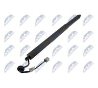 NTY AE-FR-069 Moteur électrique, hayon pour FORD USA
