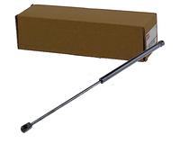 NTY AE-RE-004 Vérin de coffre