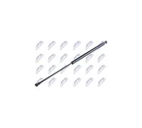 Nty AE-SE-005 - Vérin de hayon, de coffre