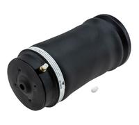 NTY Amortisseur À Air Arrière Double Pour Mercedes-Benz M-Class 166 ML