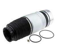 NTY Amortisseur À Air Arrière Pour VW Touareg 7LA 7L6 7L7 3.0