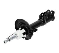 NTY Amortisseur À Gaz Avant Droit Pour Ford Fiesta VI