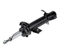 NTY Amortisseur À Gaz Avant Droit Pour MINI Mini R56 Cooper One R57 R55
