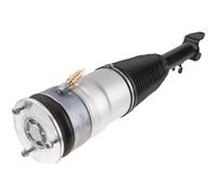 NTY Amortisseur à Gaz Avant Gauche Droite pour Tesla Model S 5YJS 2012-2016 1x