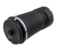 NTY Amortisseur Air Suspension Arrière Pour Land Rover Range LM 4.4 D 4x4