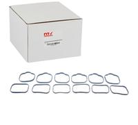 NTY Joint de collecteur d'admission supérieur BKS-CH-004B compatible 300C Grand Avenger