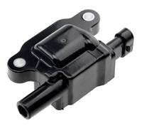 NTY Bobine D'Allumage Module pour Chevrolet Corvette C7 6.2 C6 Camaro Cadillac