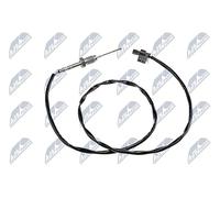 NTY EGT-BM-008 Palpeur, température des gaz