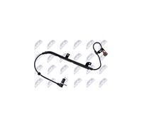 NTY Capteur Vitesse de Roue Compatible avec Nissan - HCA-NS-002 - Montage sur Roue - Signal lectrique - Automobile