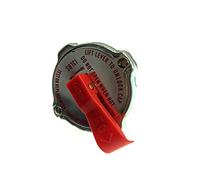 NTY Couvercle de fermeture (réservoir de liquide de refroidissement) CCK-CH-001 Compatible avec: CHRYSLER 300C, 300C Touring, 300M, GRAND VOYAGER V, NEON II, PACIFICA, PT CRUISER, SEBRING